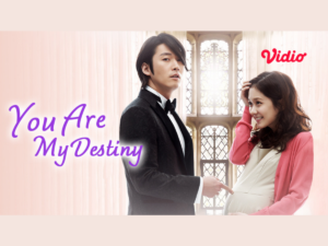 sinopsis You Are My Destiny
