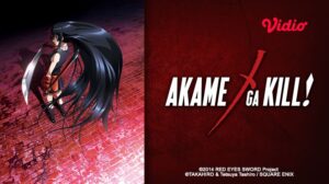 Akame Ga Kill