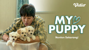 My Puppy Film Korea