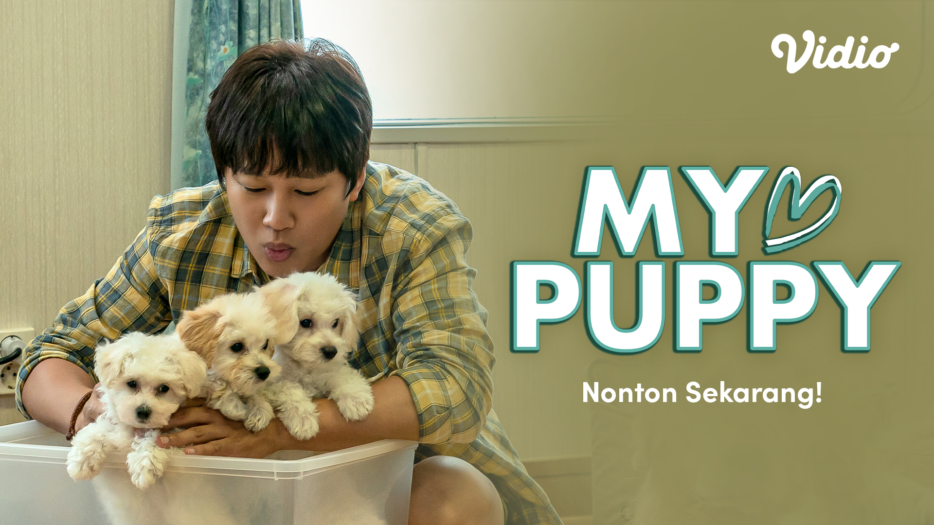 Sinopsis Film Korea My Puppy di Vidio, Kisah Haru Persahabatan Yoo Yeon
