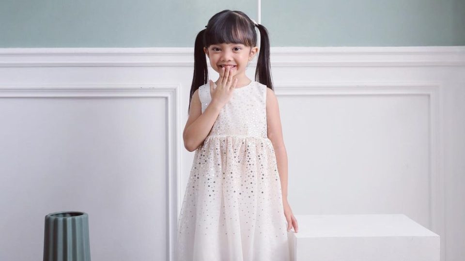 Fakta Menarik Dominique