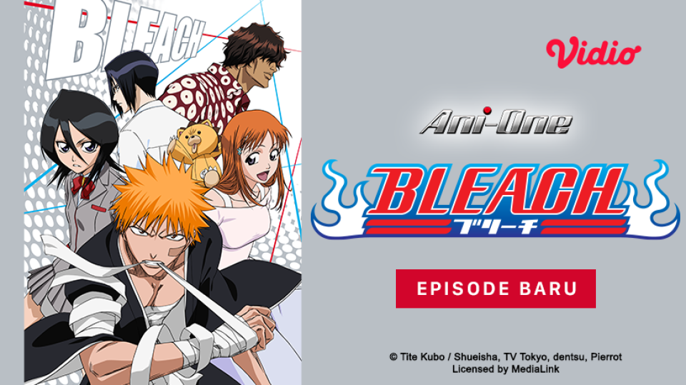 Bleach Season 3