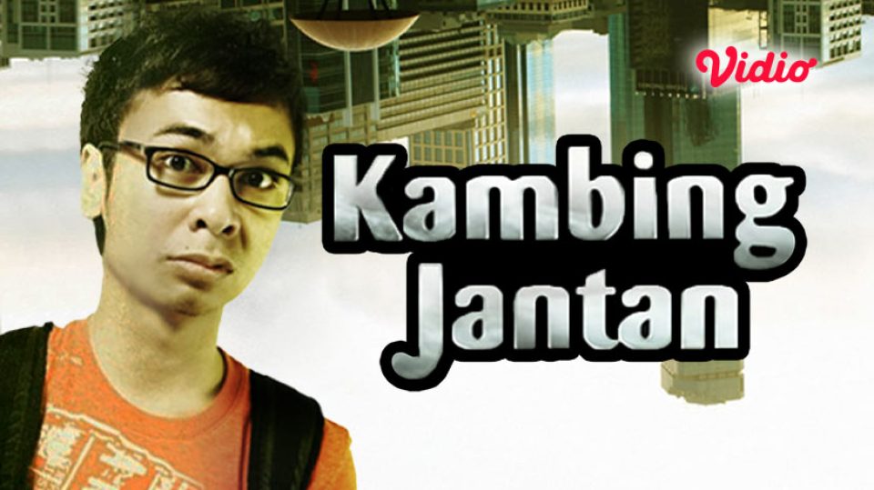 Kambing Jantan