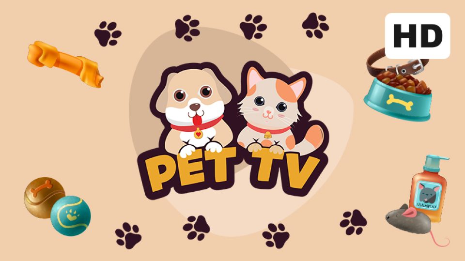 Cara Nonton Pet TV