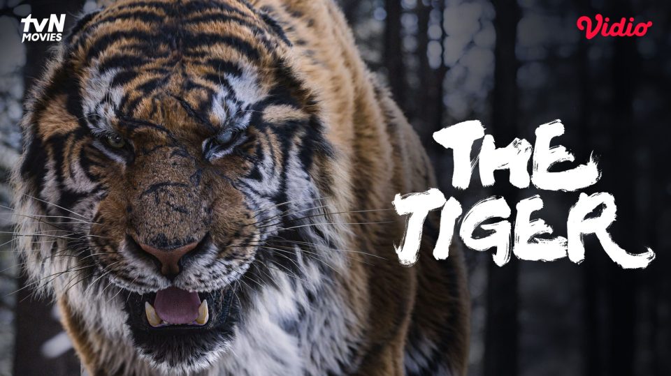 TVN Movies - The Tiger - Main KV - Poster KV Master Landscape